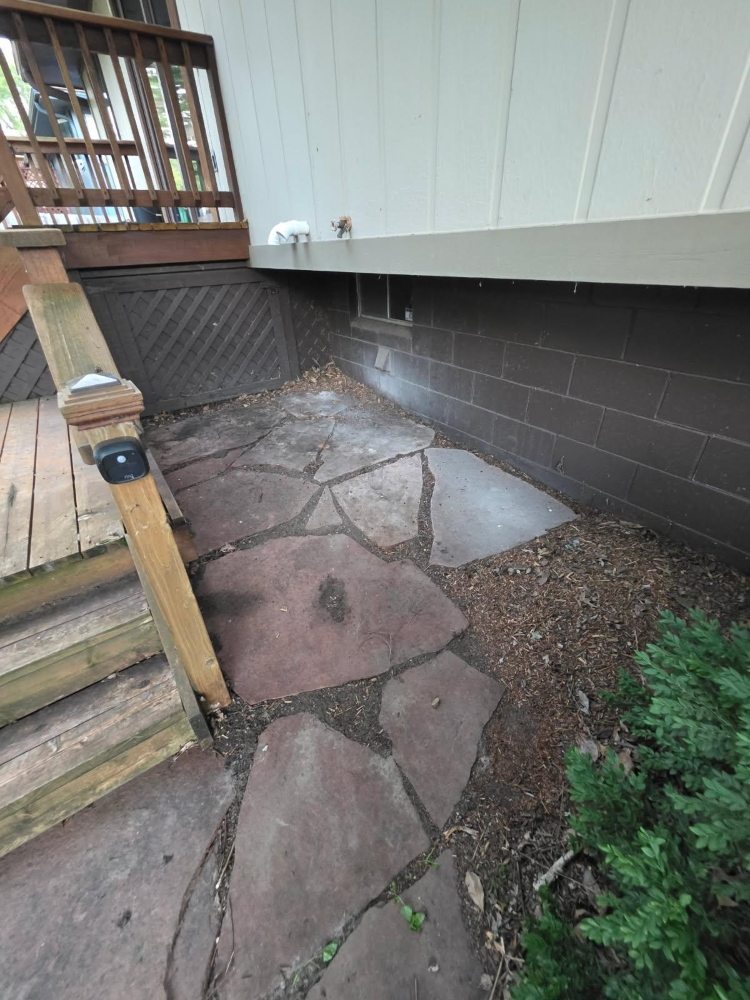 After Junk Removal - Sticks in Omaha