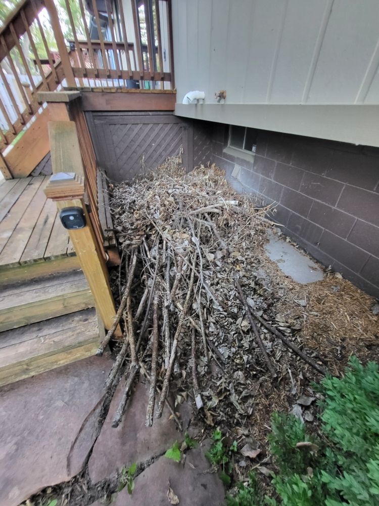 Before Junk Removal - Sticks in Omaha